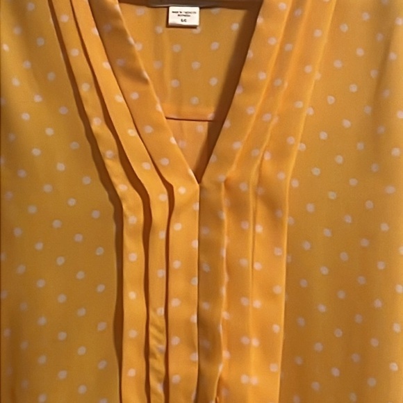 Jaclyn Smith Collection
Sleeveless Pleated Blouse
Top Yellow Polka Dot Sz S - Picture 3 of 7